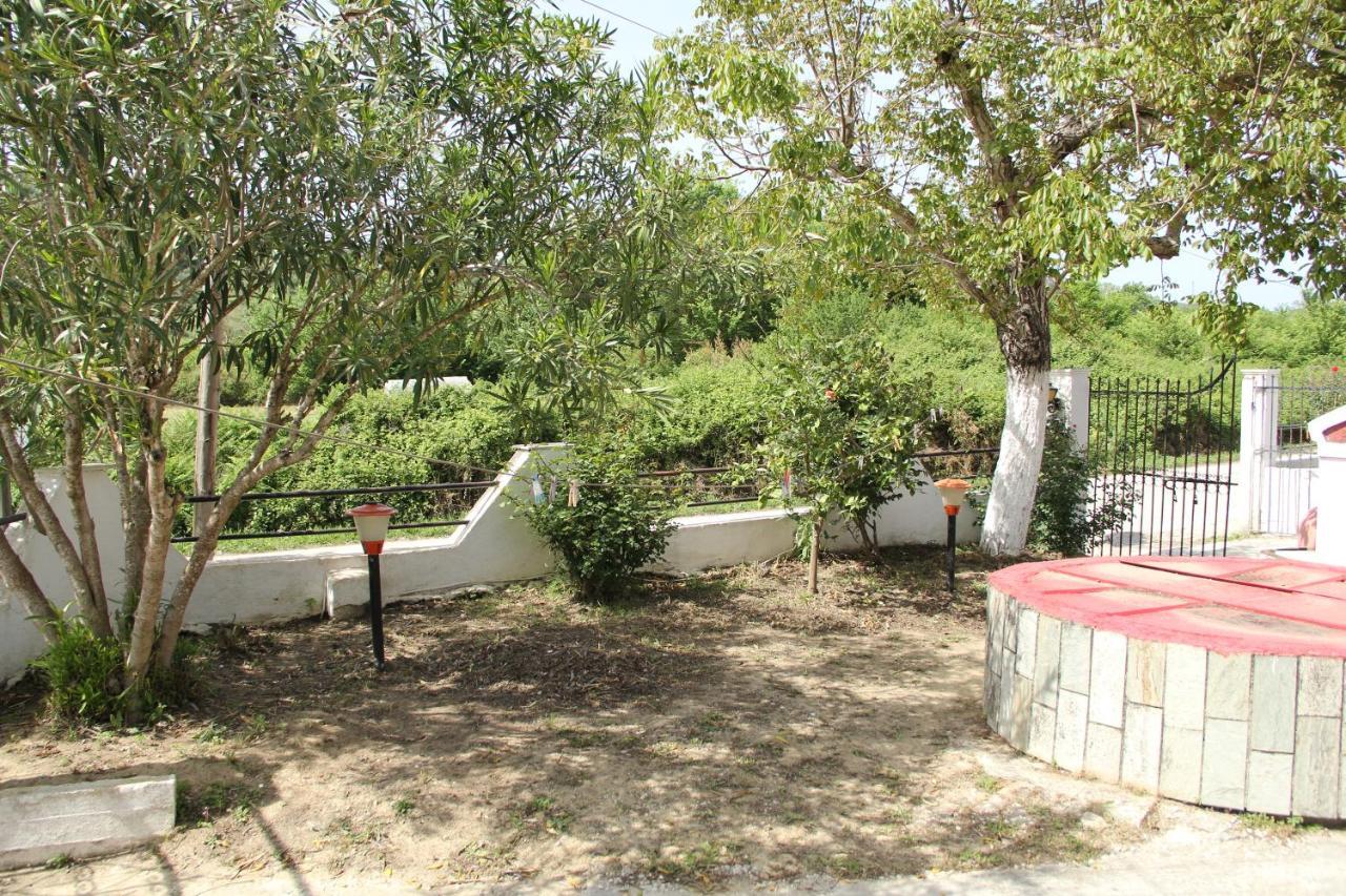 Wilson & Andrew House - Wanderlust Apartment Avliótes Exterior foto